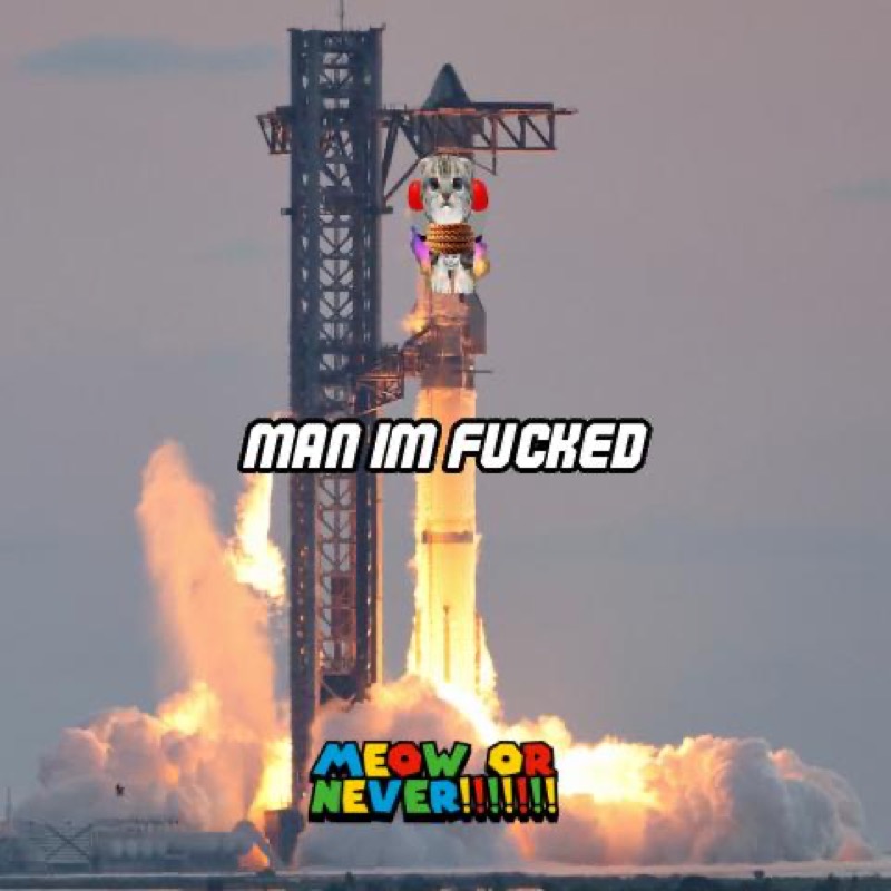 Meme 12