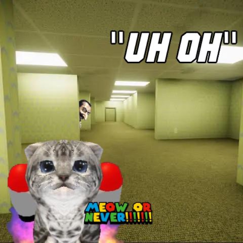 Meme 16